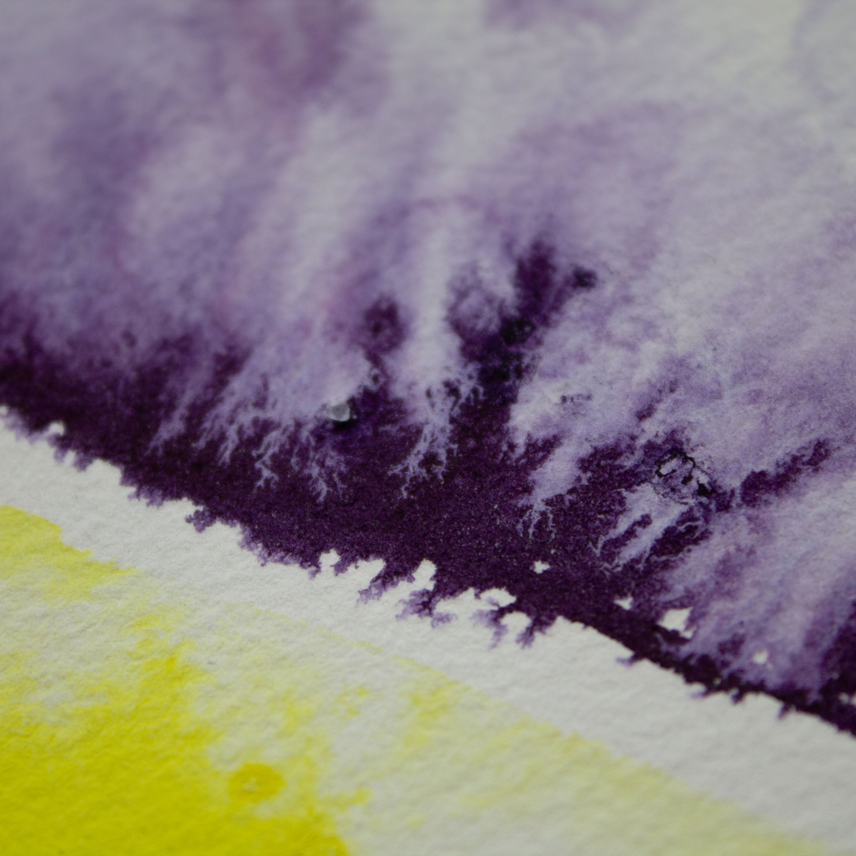 •Viola• Original Paint